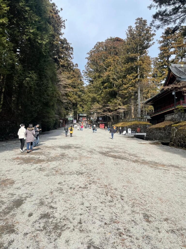 日光東照宮の表参道に差し込む木漏れ日と参道の風景