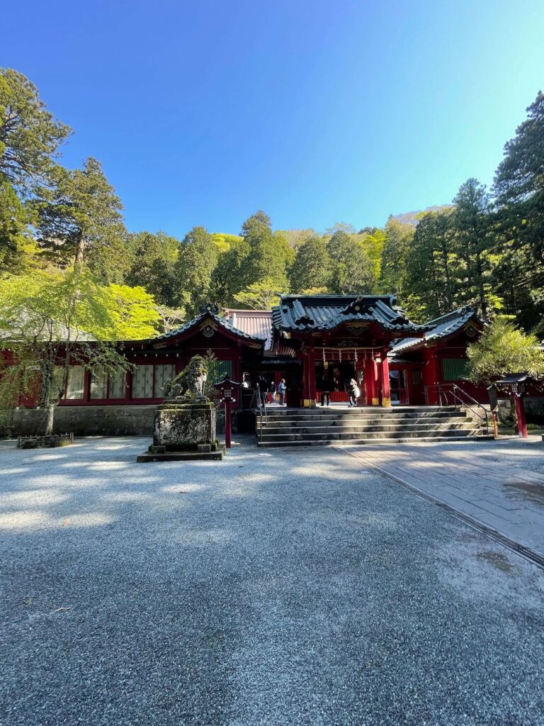 豊かな緑に囲まれた箱根神社の赤い本殿と境内の様子