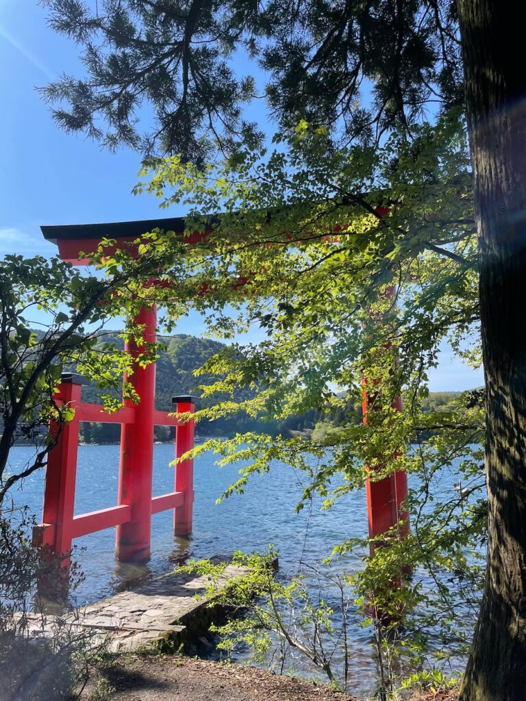芦ノ湖の湖畔に立つ箱根神社の「平和の鳥居」を木の間から撮影