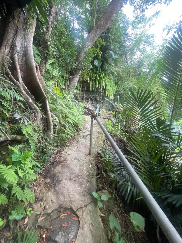 CAVE OKINAWAの入口へ続く遊歩道