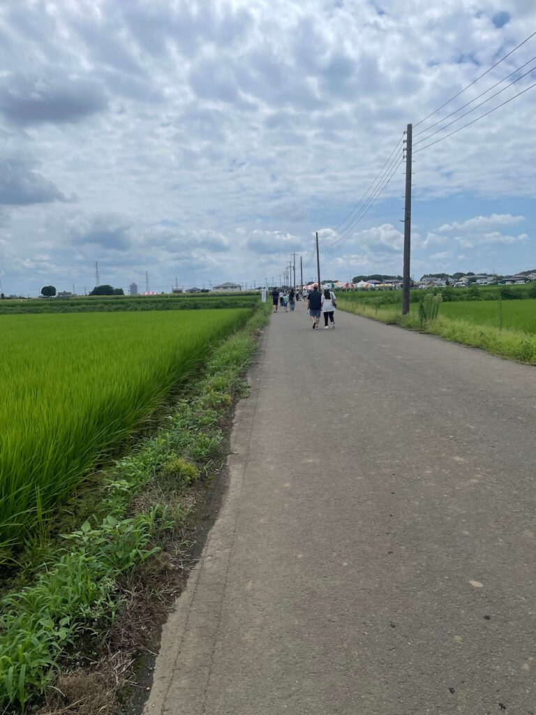野木のひまわりフェスティバルで臨時駐車場から会場まで歩く道路の様子