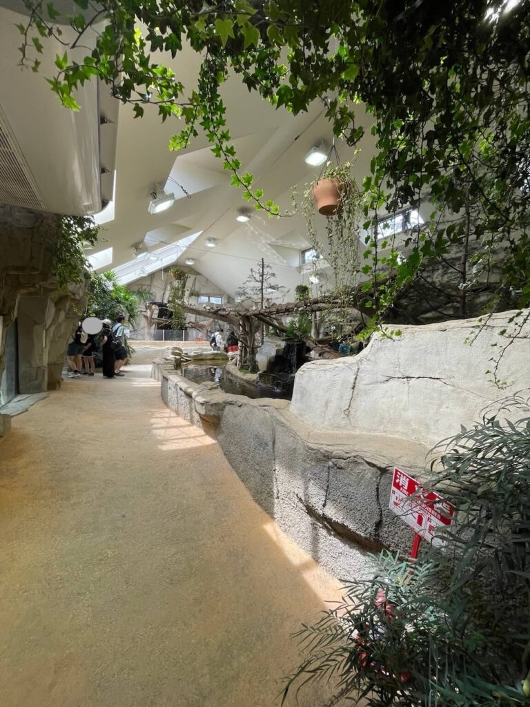 那須どうぶつ王国のアジアの森の館内