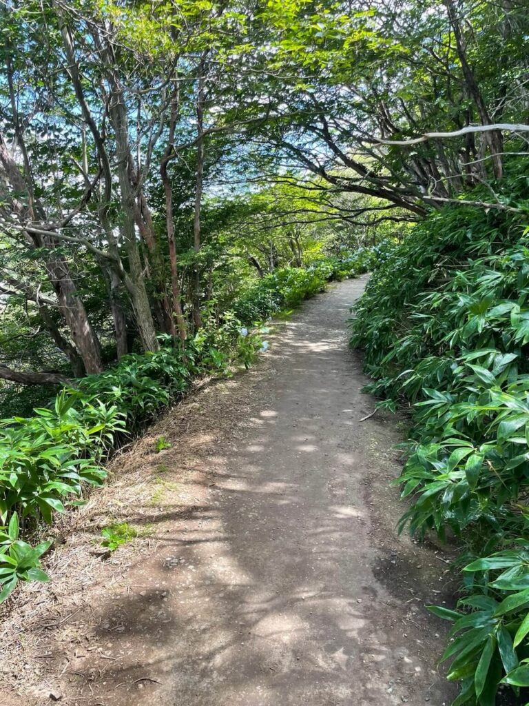殺生石から那須温泉神社へ向かう山道