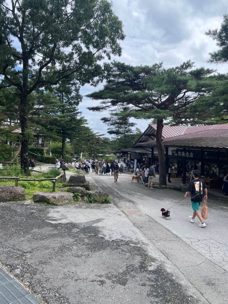 南ヶ丘牧場のお店が並ぶエリア