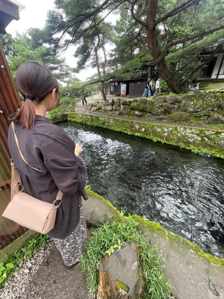 南ヶ丘牧場でチョウザメに餌をあげる様子