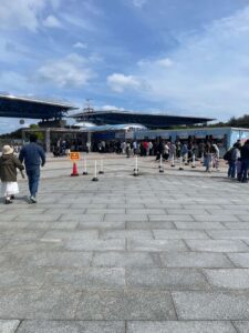 ひたち海浜公園のネモフィラの花のアップ、白い中心と青い花びら