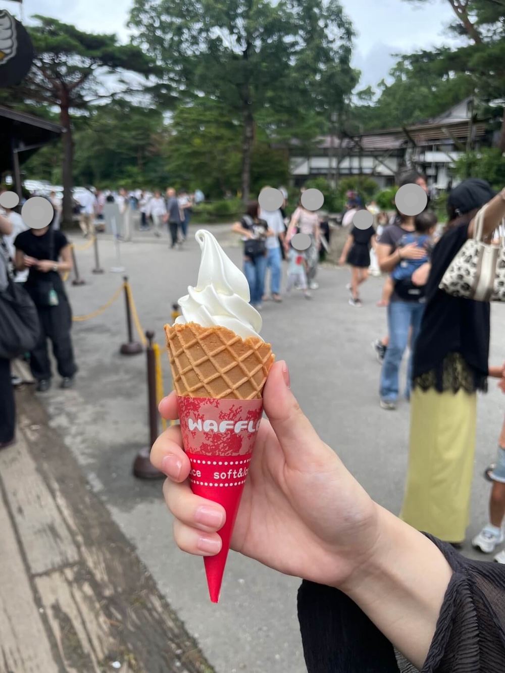 南ヶ丘牧場のプレミアムソフトクリーム